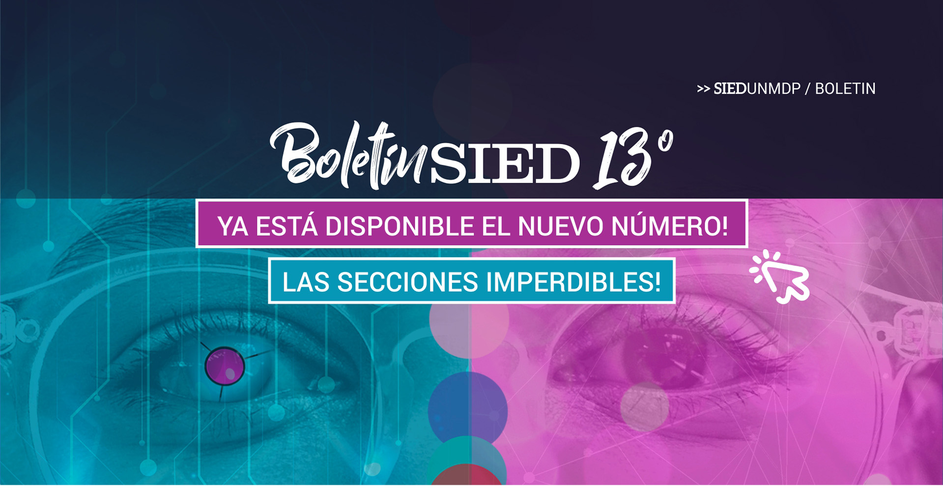 Portada del Boletín SIED número 12